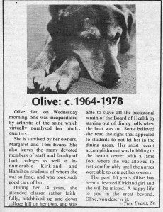 olive obit